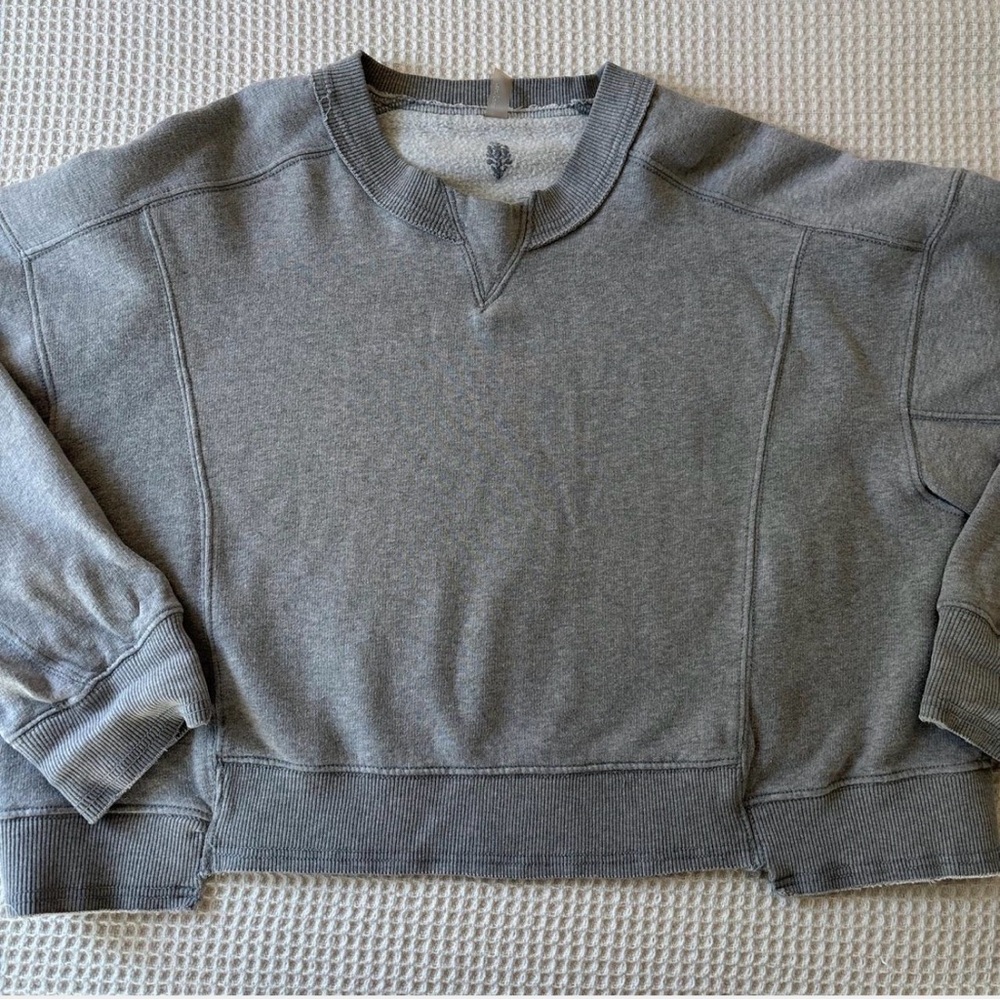 Free people sweatshirt